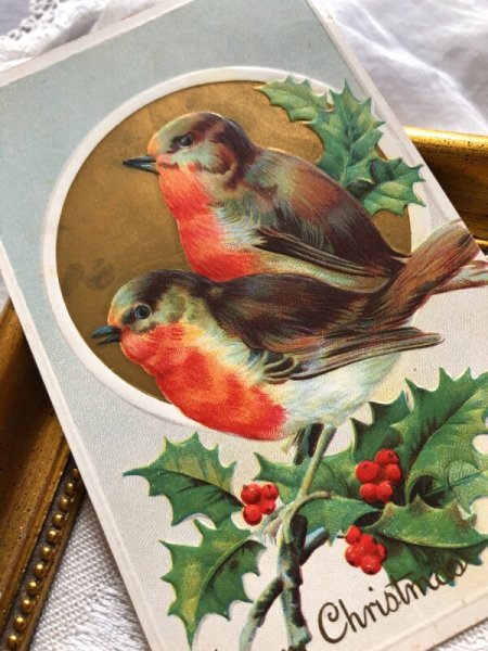 画像2: Postcard クリスマス ホーリーと小鳥 ロビン アメリカ1914年 (2)