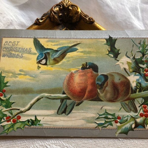 画像1: ▼SALE 500▼ Postcard　クリスマス　ホーリーと小鳥　ロビン　フィンチ (1)