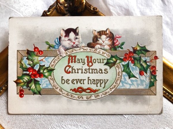 画像3: Postcard クリスマス 2頭の子猫 ホーリー  アメリカ1909年 (3)