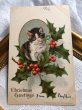 画像2: Postcard　クリスマス　黒白の子猫とホーリー　1906年　 (2)