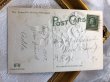画像3: Postcard　黄色の薔薇のお花とキノコ　アメリカ1909年 (3)