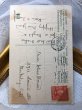 画像3: Postcard　新年祝い　New Year　スミレのお花　キノコ　馬蹄　1908　　 (3)