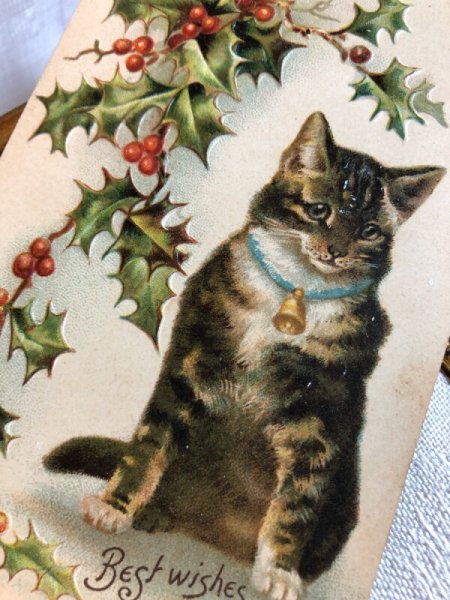 画像3: Postcard  新年祝い キジトラ猫 Helena Maguire (未使用) (3)