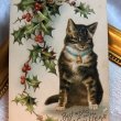 画像1: Postcard  新年祝い　キジトラ猫　Helena Maguire　（未使用） (1)