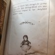 画像12: Antique Book  アンティーク本　洋書　赤ずきんちゃんと狼　Little Red Riding Hood　1888年 (12)