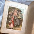 画像7: Antique Book  アンティーク本　洋書　赤ずきんちゃんと狼　Little Red Riding Hood　1888年 (7)