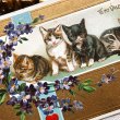 画像2: Postcard  バレンタイン　4匹の子猫たち　スミレのお花　Helena Maguire (2)