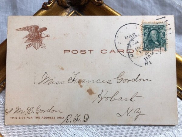 画像3: Postcard  猫車 Helena Maguire (3)