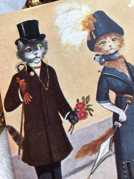 画像2: Postcard  ハネムーン旅行中の猫 (未使用) (2)