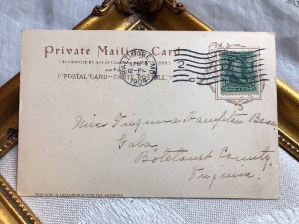 画像5: Postcard  果物と遊ぶ子猫たち Helena Maguire (5)