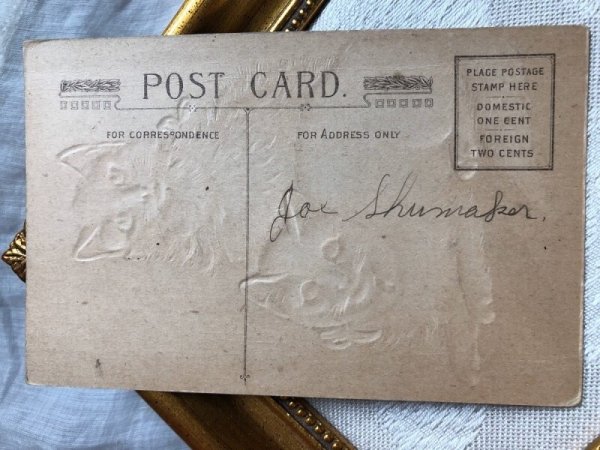 画像5: ▼SALE500▼ Postcard  2匹の猫 折れあり (5)