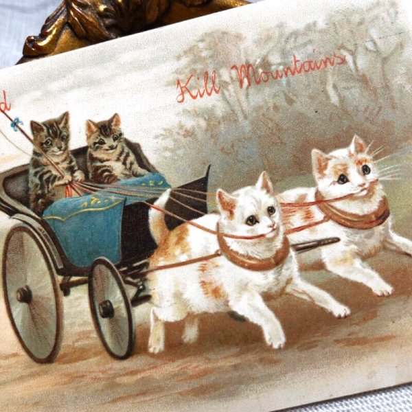 画像2: Postcard  猫車 Helena Maguire (2)