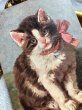画像2: Postcard 　ピンクのリボンの子猫　アメリカ1906年 (2)