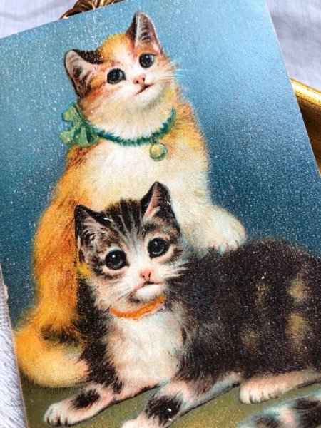 画像2: Postcard  2匹の猫 アメリカ1910年 (2)