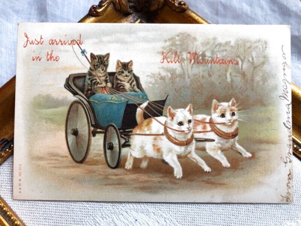 画像1: Postcard  猫車　Helena Maguire (1)