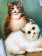 画像2: ▼SALE500▼　Postcard  2匹の猫　折れあり (2)