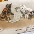 画像2: Postcard  　絵本を読む猫たち　フランス1902年　Helena Maguire (2)