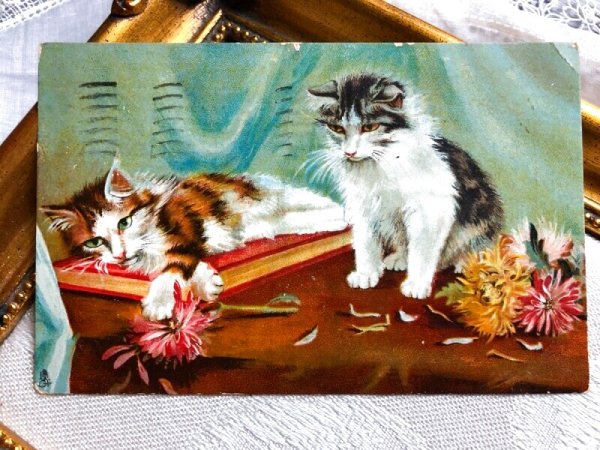 画像1: ▼SALE500▼　Postcard  2匹の猫とお花　アメリカ1911年 (1)