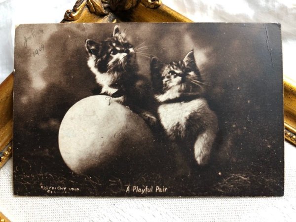 画像1: ▼SALE500▼　Postcard  卵と子猫 1909年 (1)