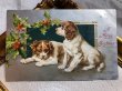 画像1: Postcard  　クリスマス　２匹のスパニエル犬　Helena Maguire (1)