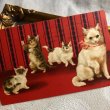 画像2: Postcard  4匹の猫たち　Helena Maguire (2)