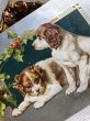 画像2: Postcard  　クリスマス　２匹のスパニエル犬　Helena Maguire (2)