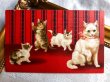 画像1: Postcard  4匹の猫たち　Helena Maguire (1)