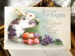 画像1: Postcard 　イースター　卵を抱くウサギさん　スミレのお花 (1)