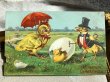画像1: Postcard 　イースター　卵を割るアヒルの紳士　 (1)