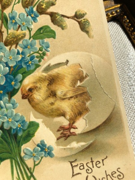 卵のあたりに折れあり。