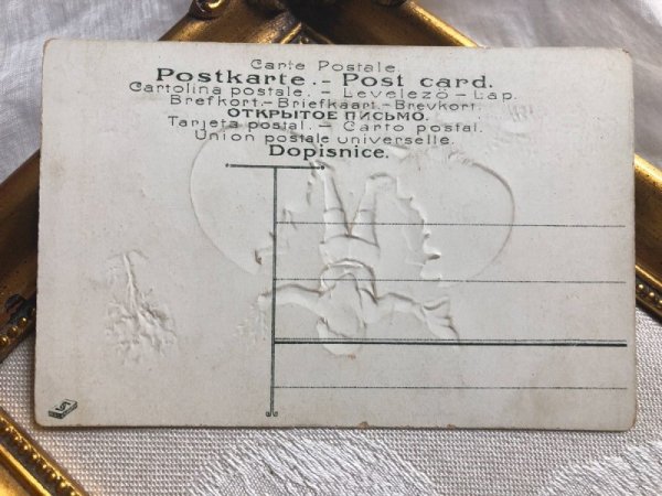 画像3: Postcard　卵から産まれた？ノーム妖精　 (3)