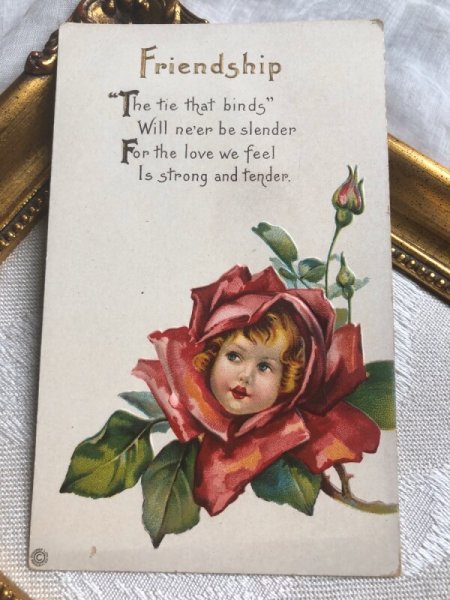 画像1: Postcard 　薔薇のお花の中の女の子　（未使用） (1)