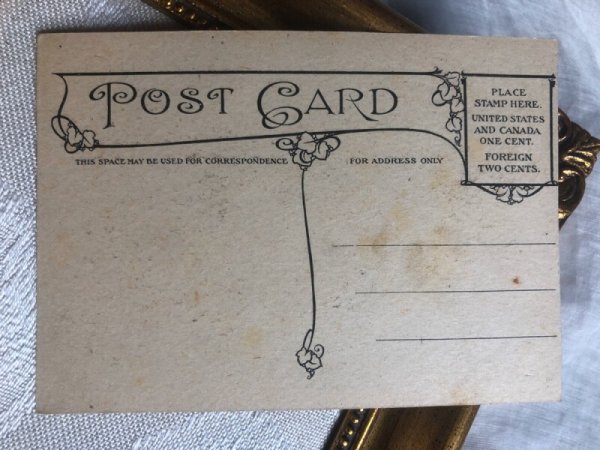 画像2: Postcard  テディベア アメリカ (未使用) (2)