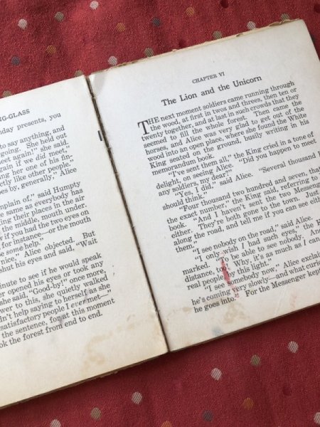 画像7: Vintage Book アンティーク本 洋書 童話 鏡の国のアリス Through the Looking-Glass (7)