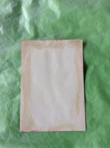 画像2: 鏡の前の猫 Helena Maguire (2)