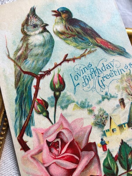 画像2: Postcard  2羽の小鳥 薔薇のお花 1910年 (2)