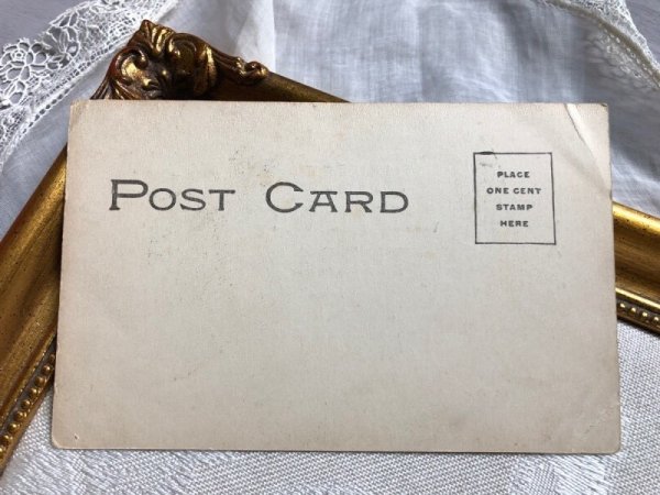 画像2: ▼SALE500▼ Postcard 2頭のロバ (2)