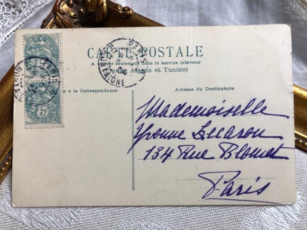 画像3: Postcard  泳ぎの練習をする豚さん フランス1904年 (3)