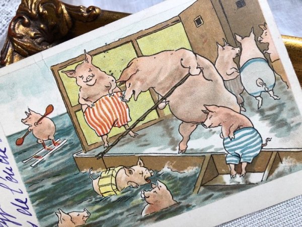 画像2: Postcard  泳ぎの練習をする豚さん フランス1904年 (2)