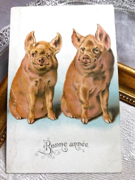 画像1: Postcard 　2頭の豚さん　Bonne annee　フランス (1)