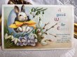画像1: Postcard 　イースター　卵の中から白いウサギさん　スノードロップとスミレのお花　E.Clapsaddle (1)