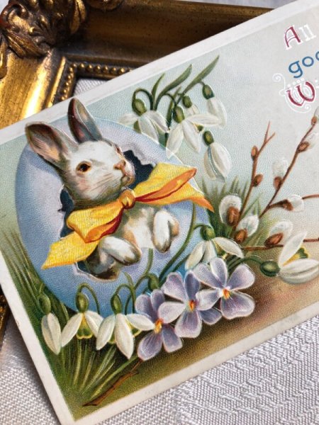 画像2: Postcard  イースター 卵の中から白いウサギさん スノードロップとスミレのお花 E.Clapsaddle (2)