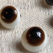 画像3: Antique Glass Eyes　アンティーク　ジャーマングラスアイ　黒・茶色　ポンチ目　グーグリー　12mm　（1組・2個） (3)