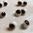 画像9: Antique Glass Eyes　アンティーク　ジャーマングラスアイ　黒・茶色　ポンチ目　グーグリー　12mm　（1組・2個） (9)