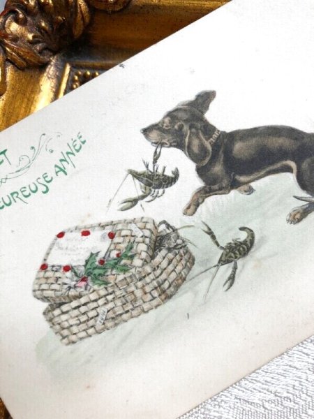 画像3: Postcard   ロブスター(ザリガニ?)とダックスフンド犬 ウィーン趣味 VIENNE (3)