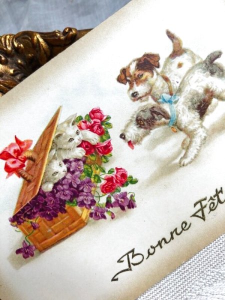 画像2: Postcard 子猫とテリア犬 Wally Fialkowska (2)
