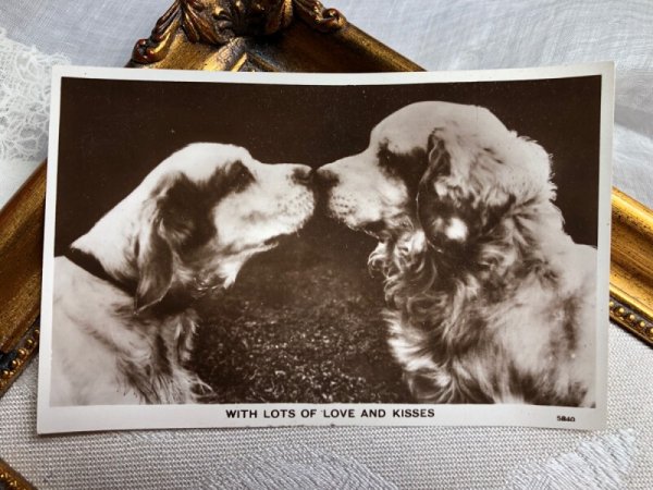 画像1: Postcard  　キスをする犬たち　写真　 (1)