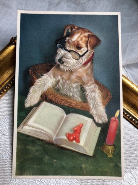 画像1: Postcard  読書をするワイヤーフォックステリア犬　 (1)