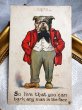 画像1: Postcard  赤いジャケットのブルドッグ犬　（未使用） (1)