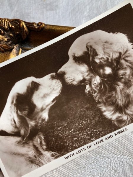画像2: Postcard  　キスをする犬たち　写真　 (2)